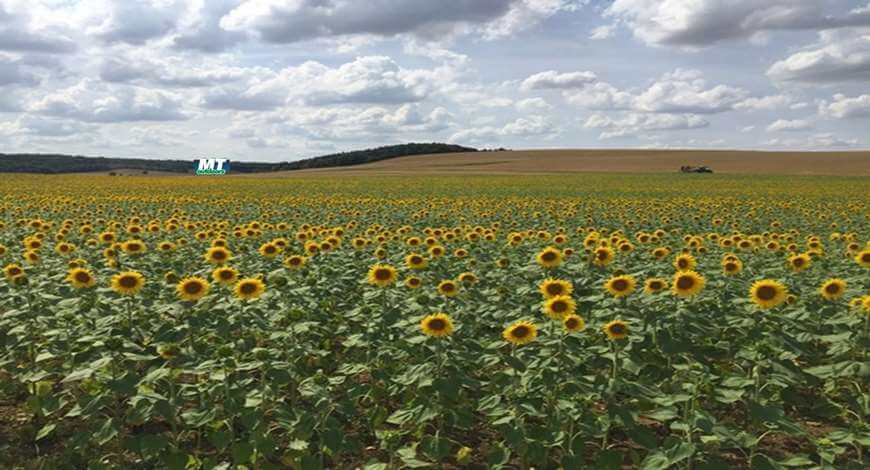 M&iacute;dia Externa e o Agroneg&oacute;cio