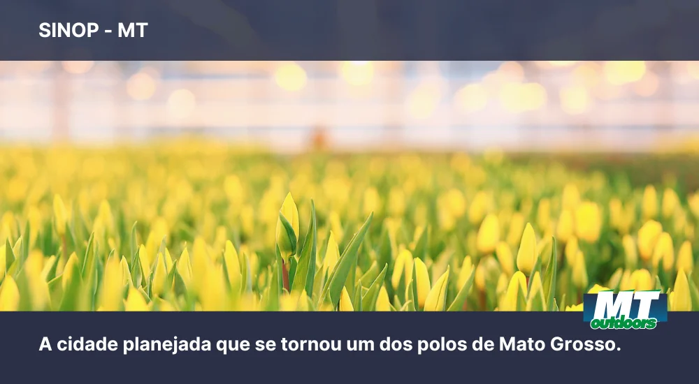 Conhe&ccedil;a Sinop: a cidade planejada que se tornou um dos polos de Mato Grosso