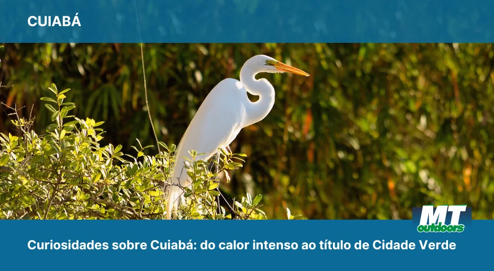 Curiosidades sobre Cuiab&aacute;: do calor intenso ao t&iacute;tulo de Cidade Verde