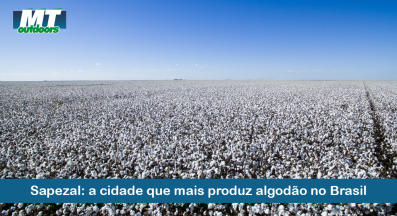 Ponto nº Sapezal: a cidade que mais produz algodão no Brasil