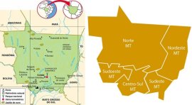 Ponto nº Mato Grosso - informações geográficas